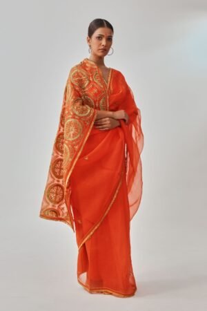 Orange Organza Saree
